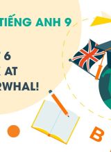 Unit 6 Look at That Narwhal! Tiếng Anh 9  -  Hoc10